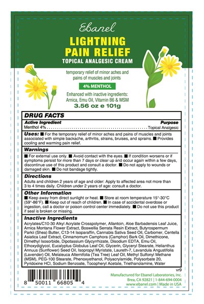 Lightning Pain Relief Cream-101g - OTC Label Lightning Pain Relief Roll On 3.56oz